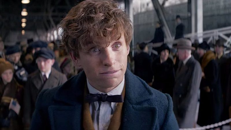Newt Scamander