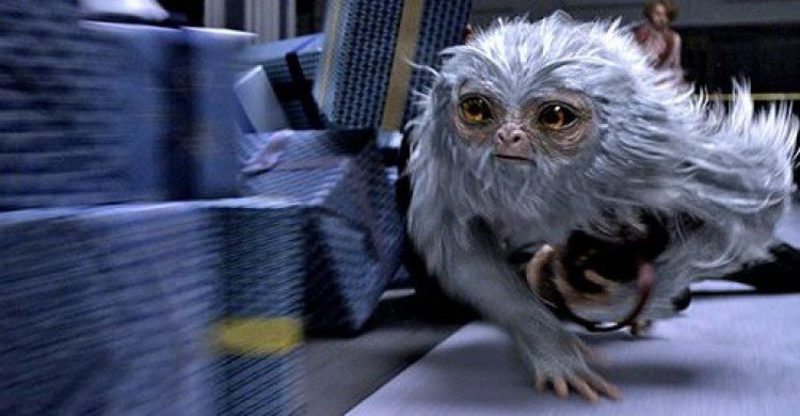 Animales fantásticos