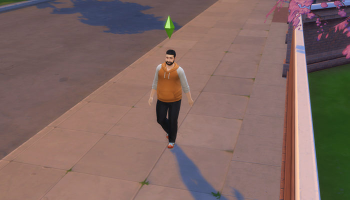 Sims 4