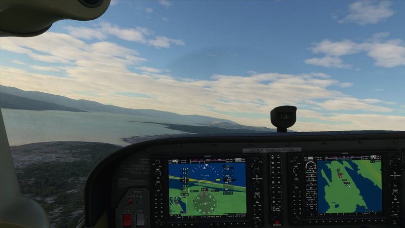 Microsoft Flight Simulator