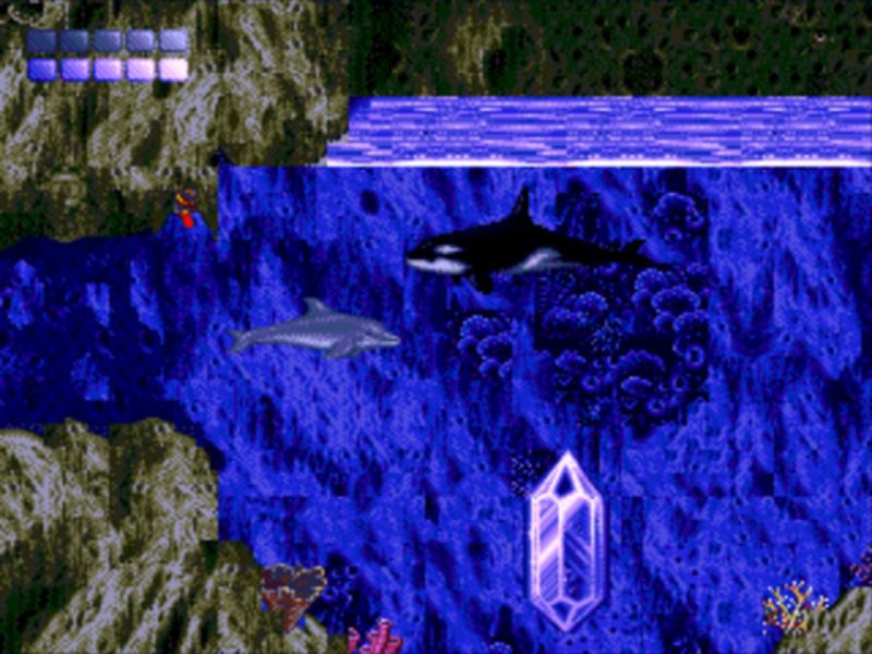 Ecco the Dolphin MD 05