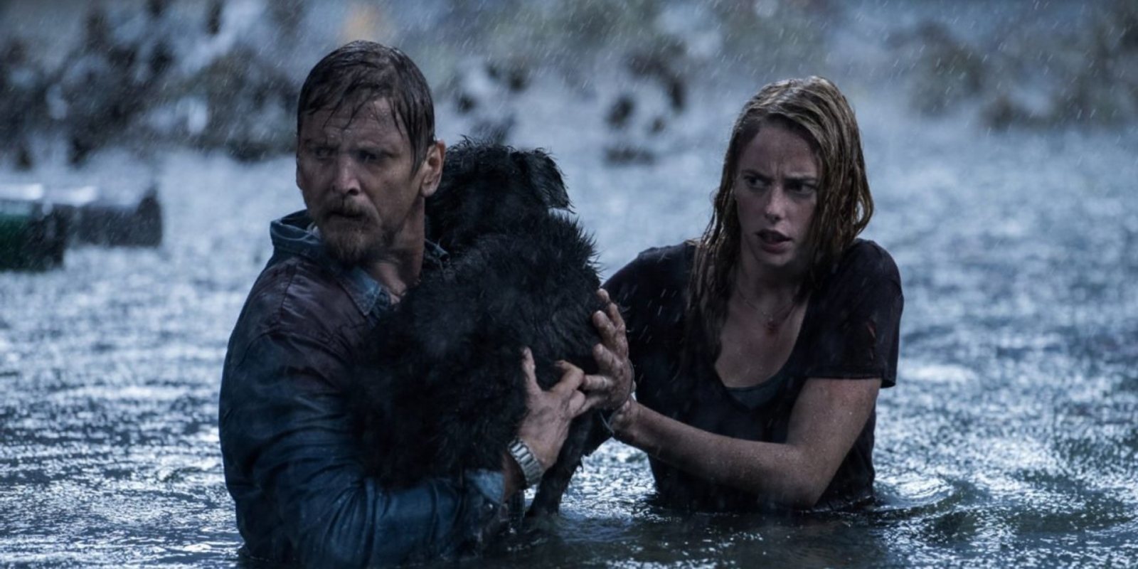 Crítica 'Infierno bajo el agua', la nueva cinta de Alexandre Aja