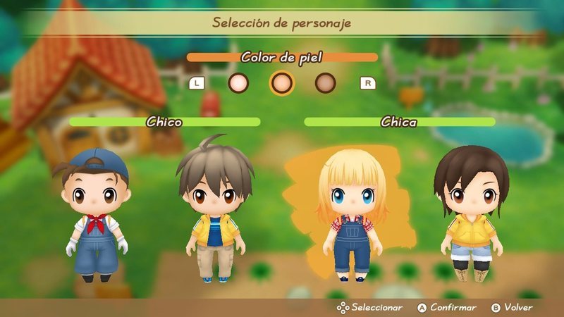 Friends of a Mineral Town