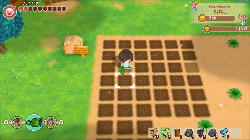 Friends of a Mineral Town