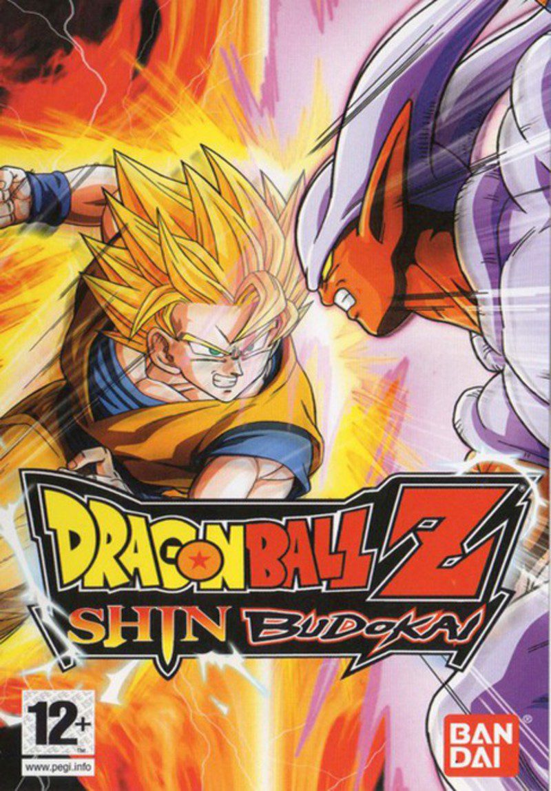 Dragon Ball Z Shin Budokai