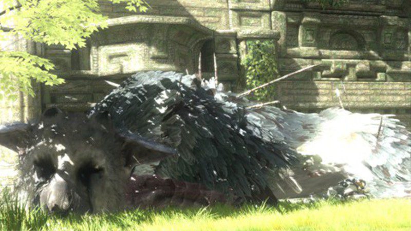 The last guardian