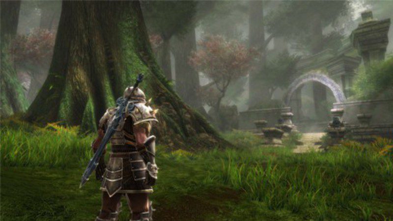 Se retrasa la subasta de 'Kingdoms Of Amalur'