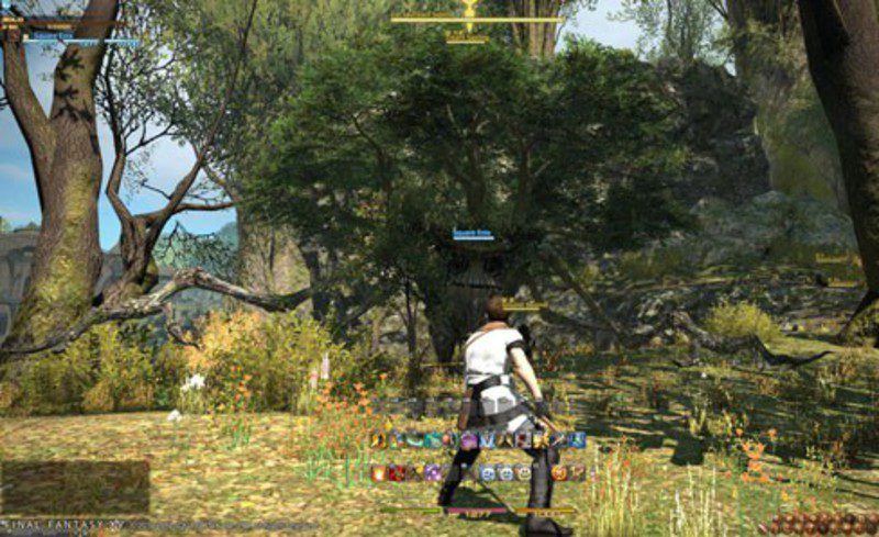 Final Fantasy XIV: A Real Reborn