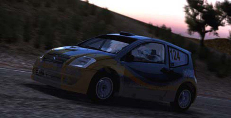 WRC 2010
