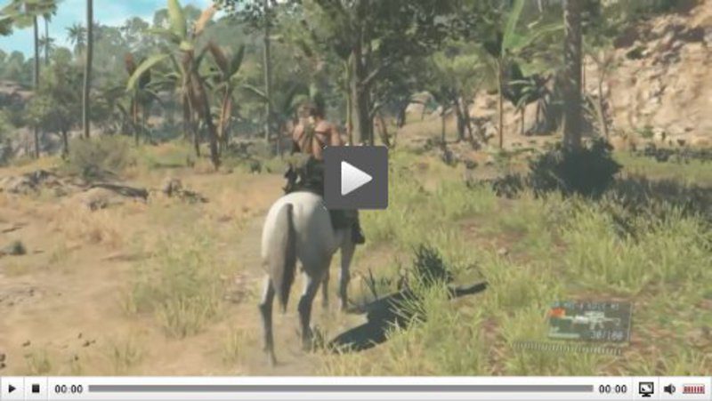 Metal Gear Solid V: The Phantom Pain