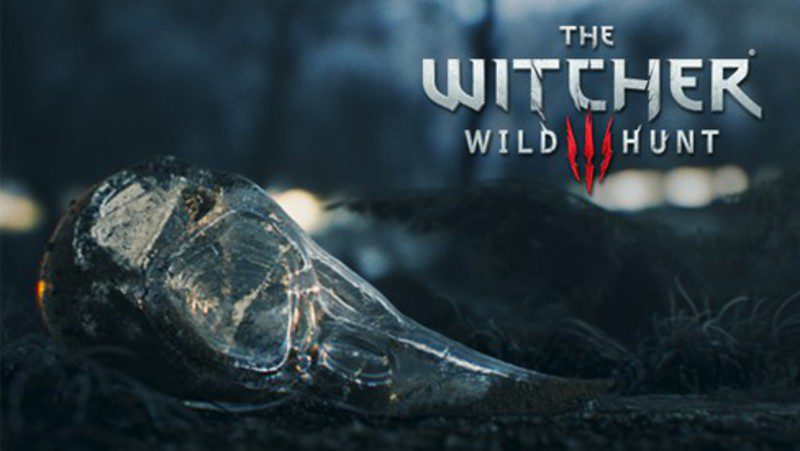 the witcher 3