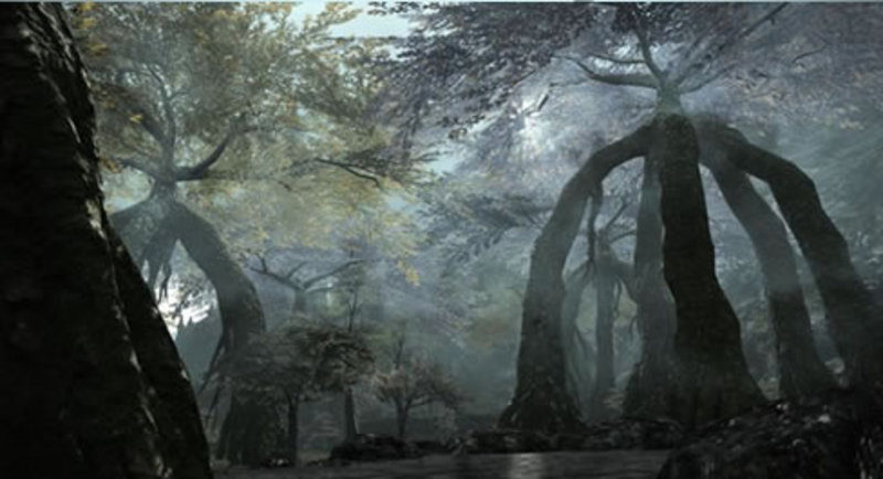 Nuevas zonas para explorar