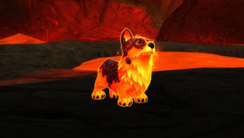 wow corgi magma