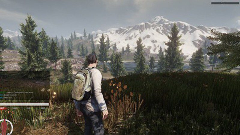 Infestation Survivor Stories