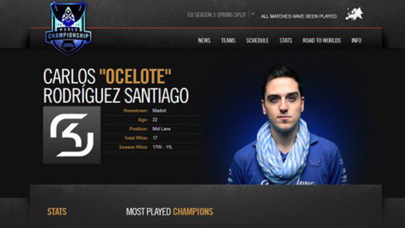ocelote