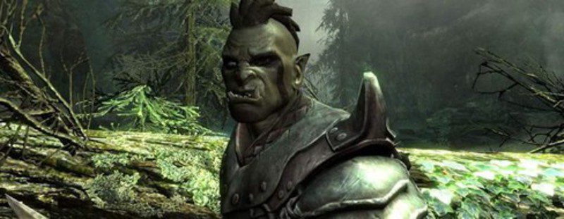 'The Elder Scrolls V Skyrim'