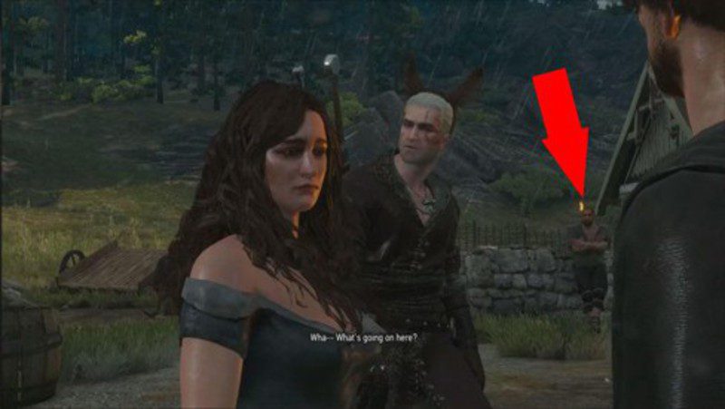 The Witcher 3