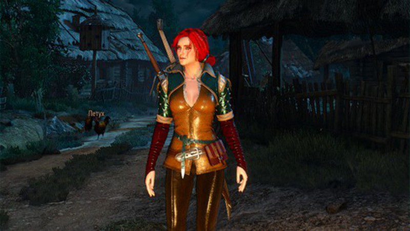 The Witcher 3 Wild Hunt