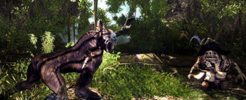 'Risen 2 Dark Waters'