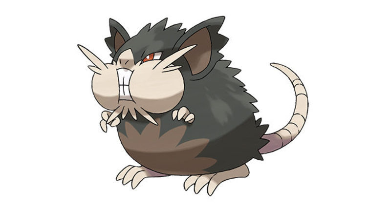Raticate de Alola