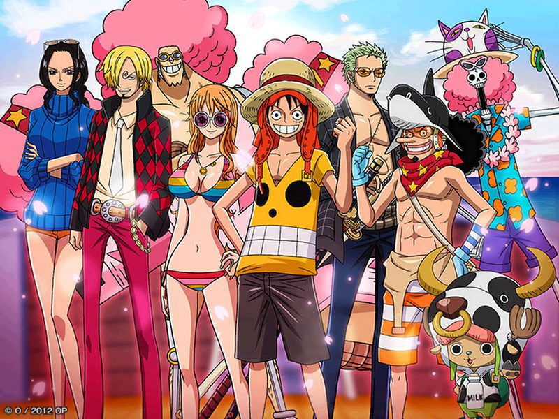 One Piece Selecta Visión