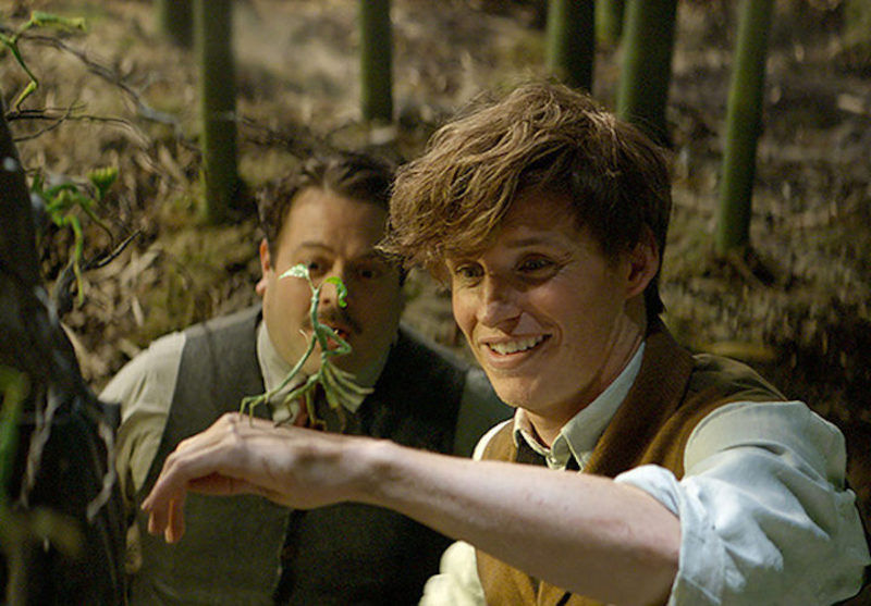 Animales fantásticos y dónde encontrarlos