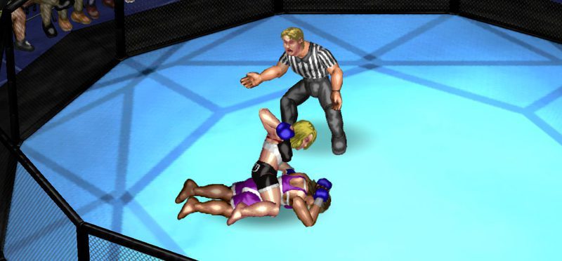 Fire Pro Wrestling