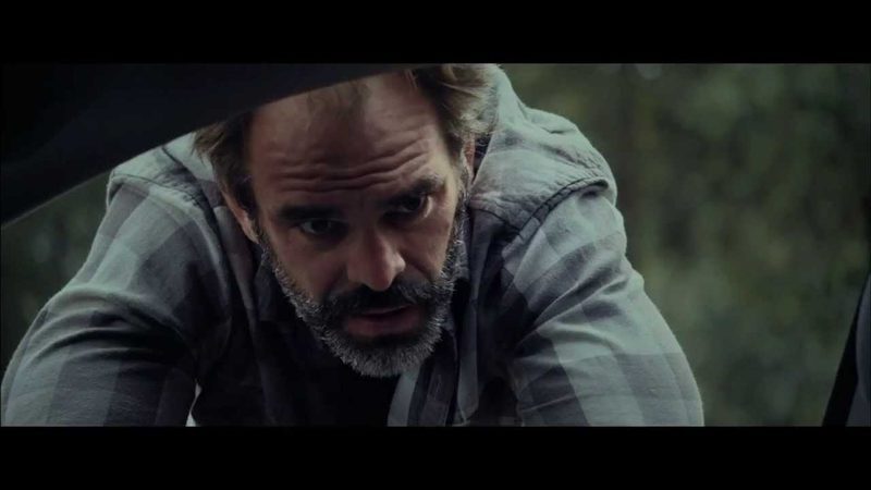 stevenogg