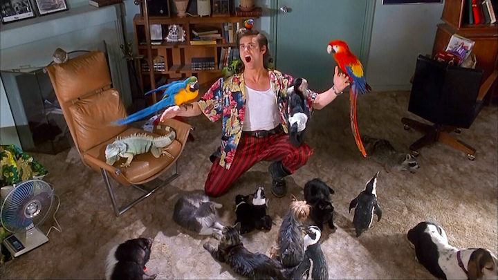 Ace Ventura