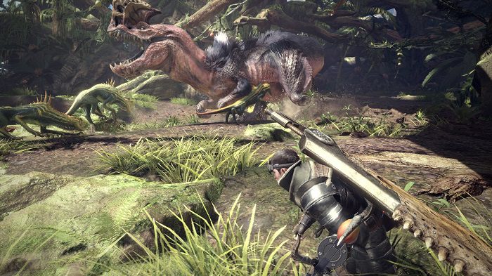 Beta Monster Hunter World, modo un jugador, Zonared