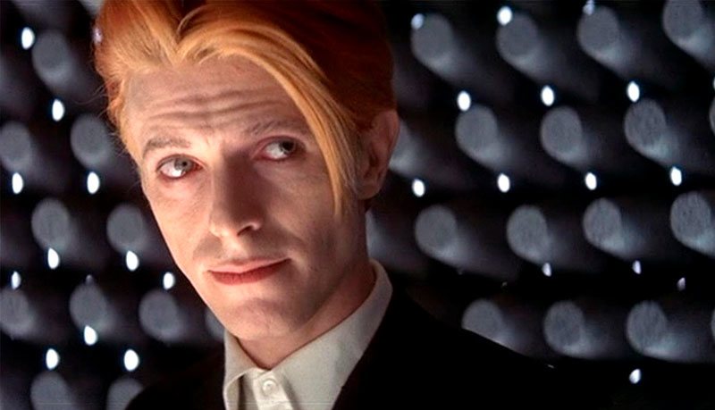 The man who fell to earth