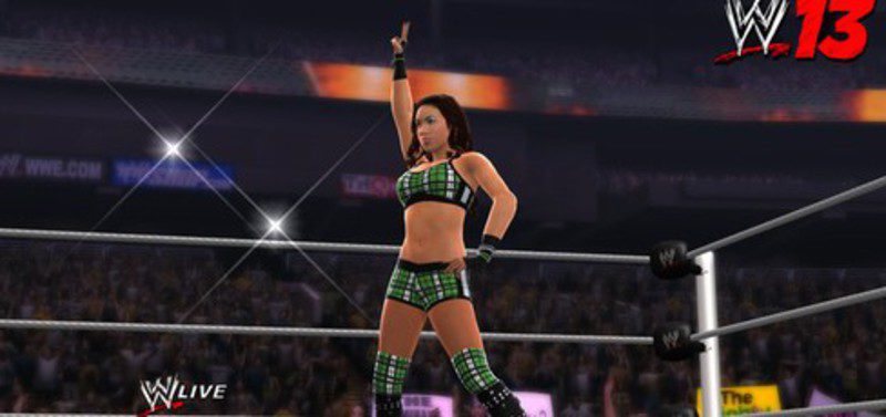 wwe 13