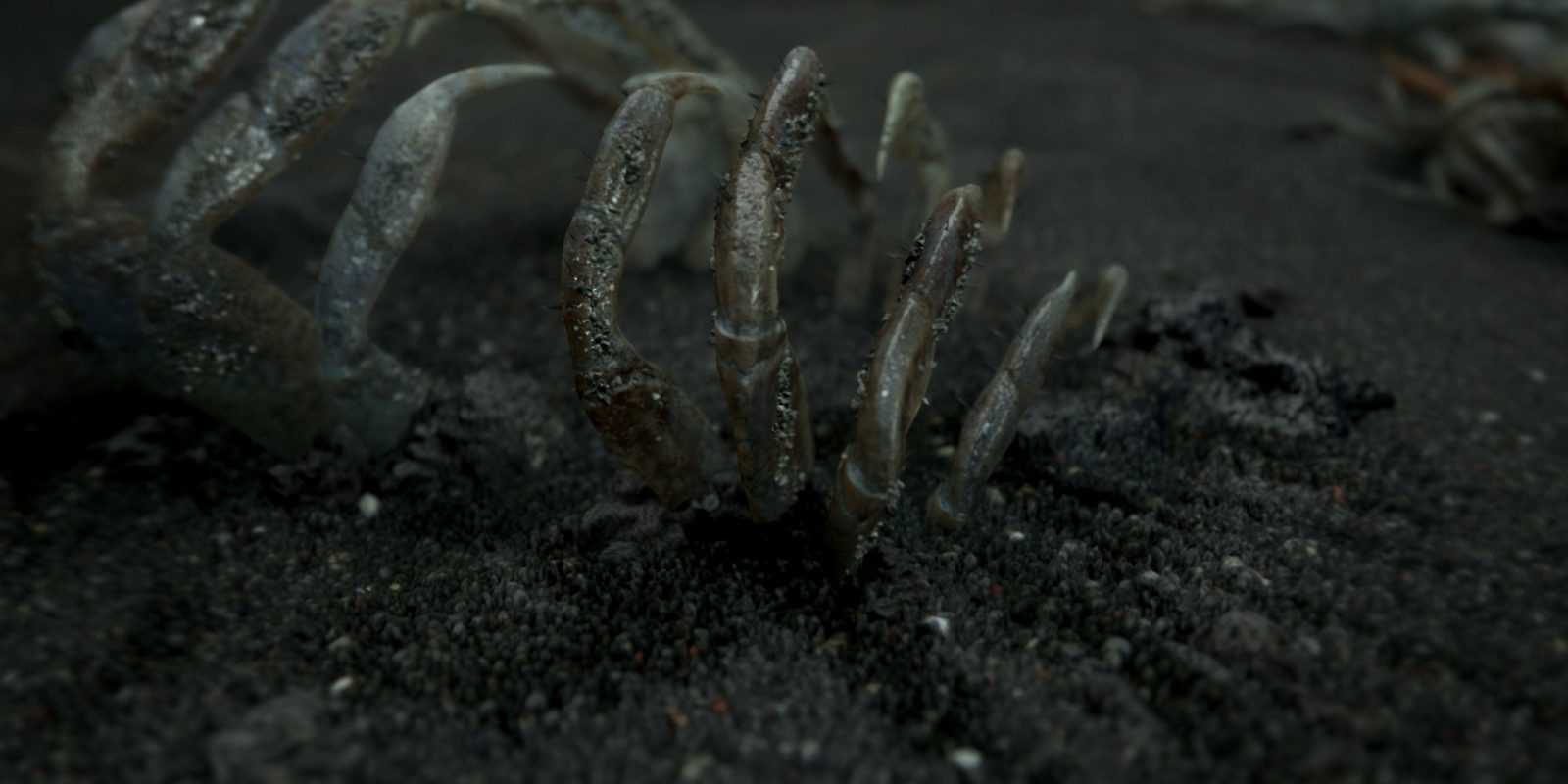 'Death Stranding': Nunca ver llorar me había hecho tan feliz, y otros dramas de los videojuegos