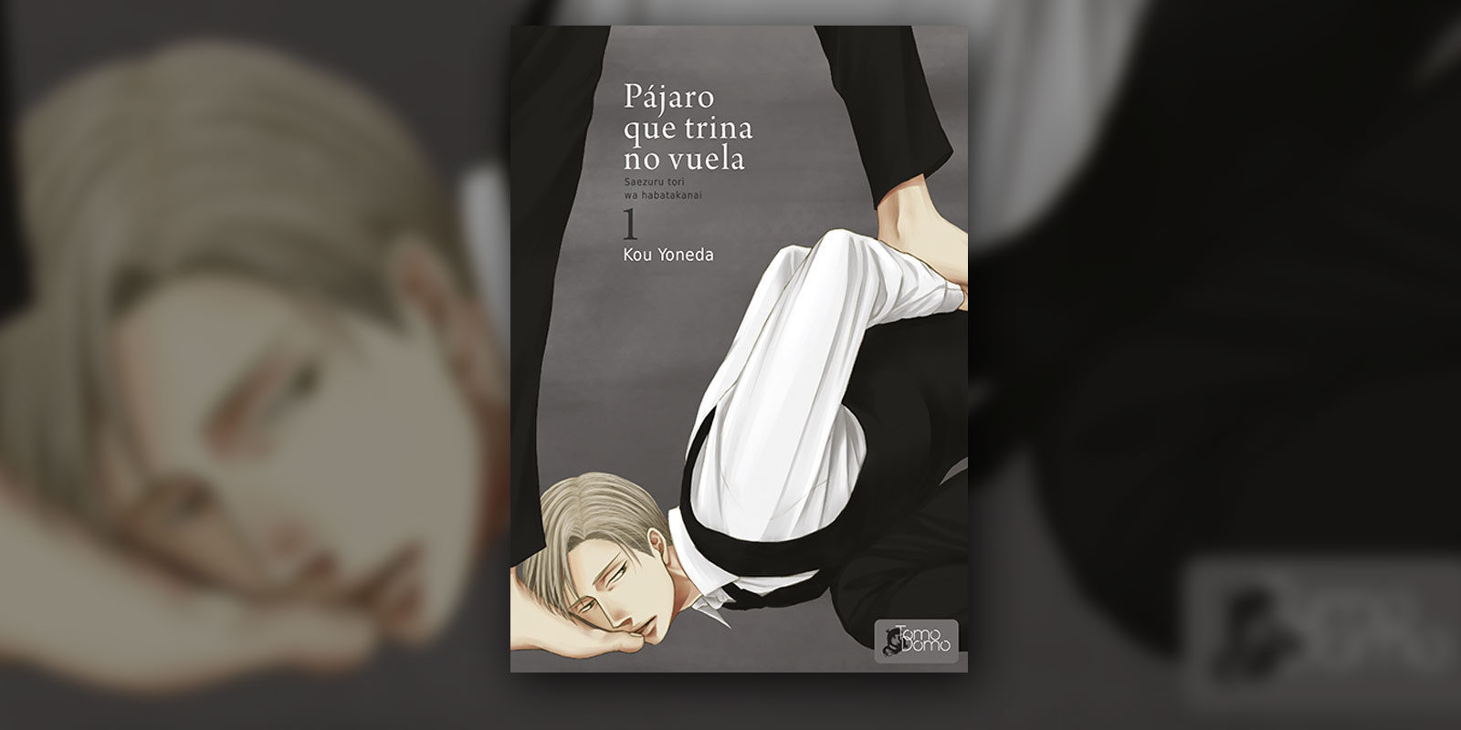 'Pájaro que trina no vuela', detalles de la edición de este manga BL de Tomodomo