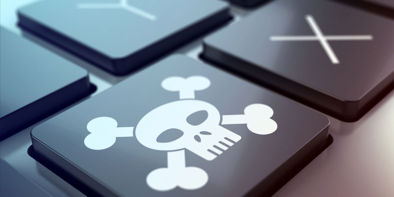 Finalmente no éramos tan piratas como nos habían dicho - La Zona