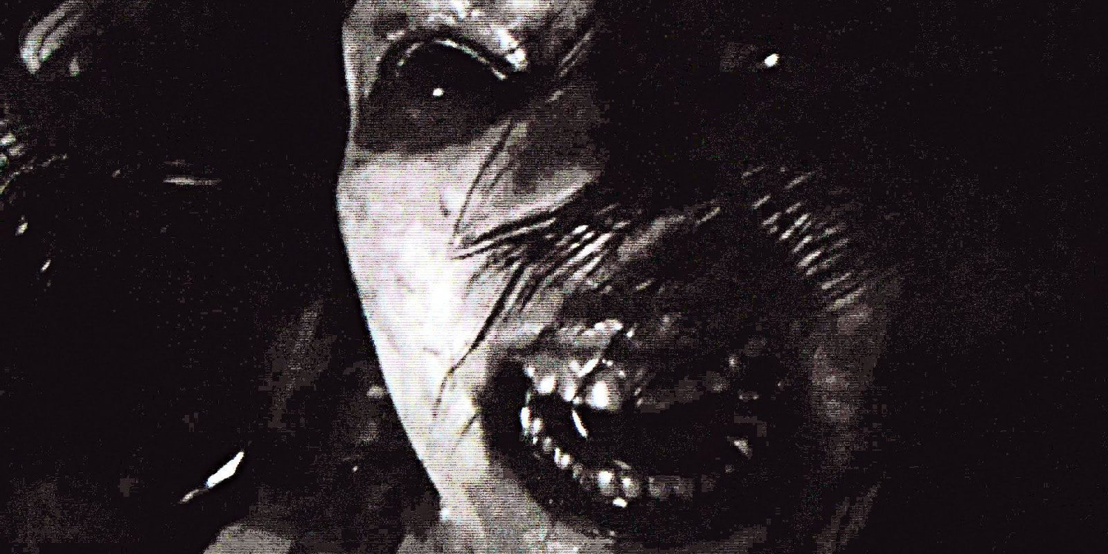 Los jugadores de 'Resident Evil 7' podrán sincronizar sus partidas entre Xbox One y PC