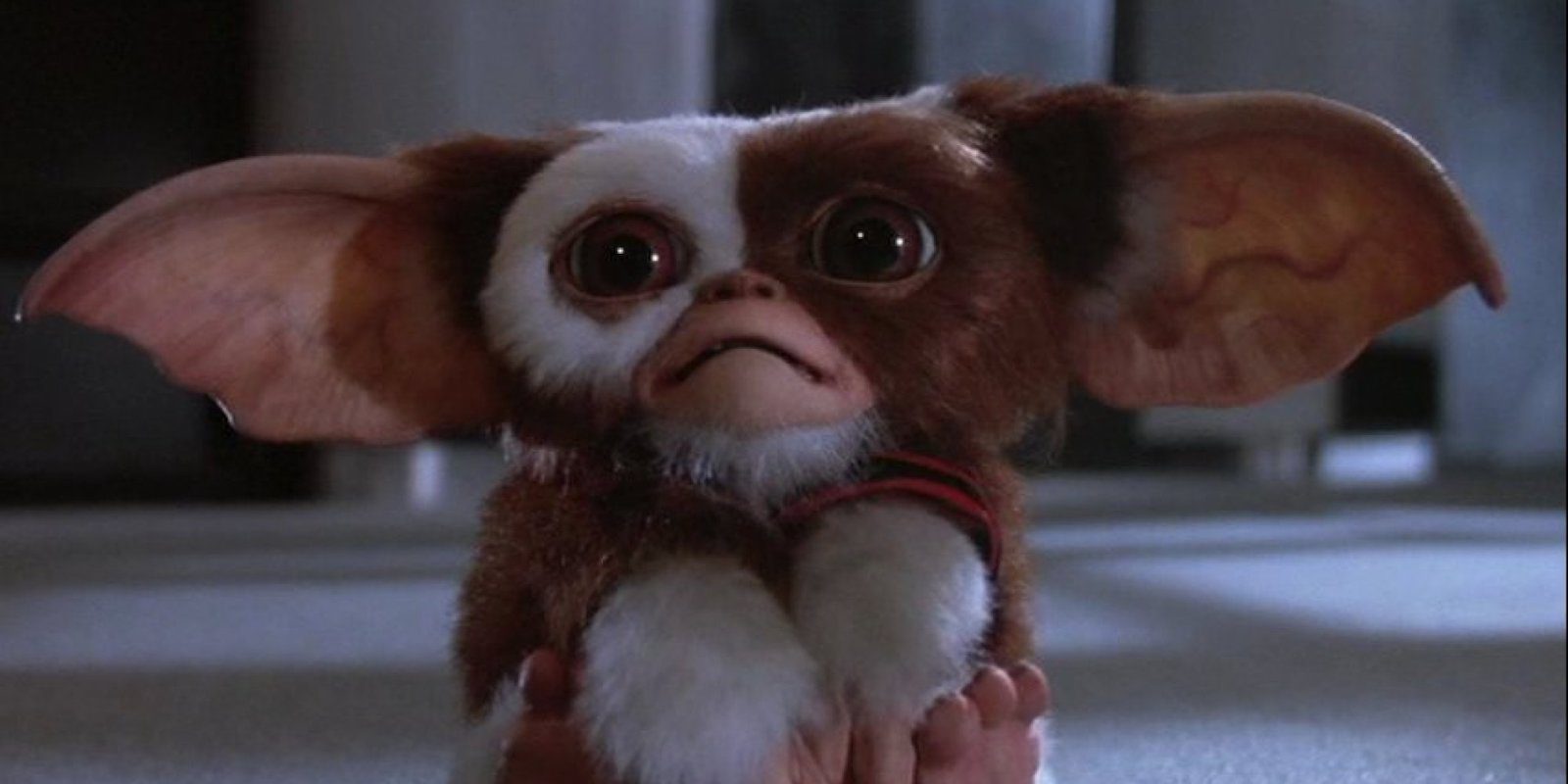 'Gremlins 3'  podría llegar a ser una realidad
