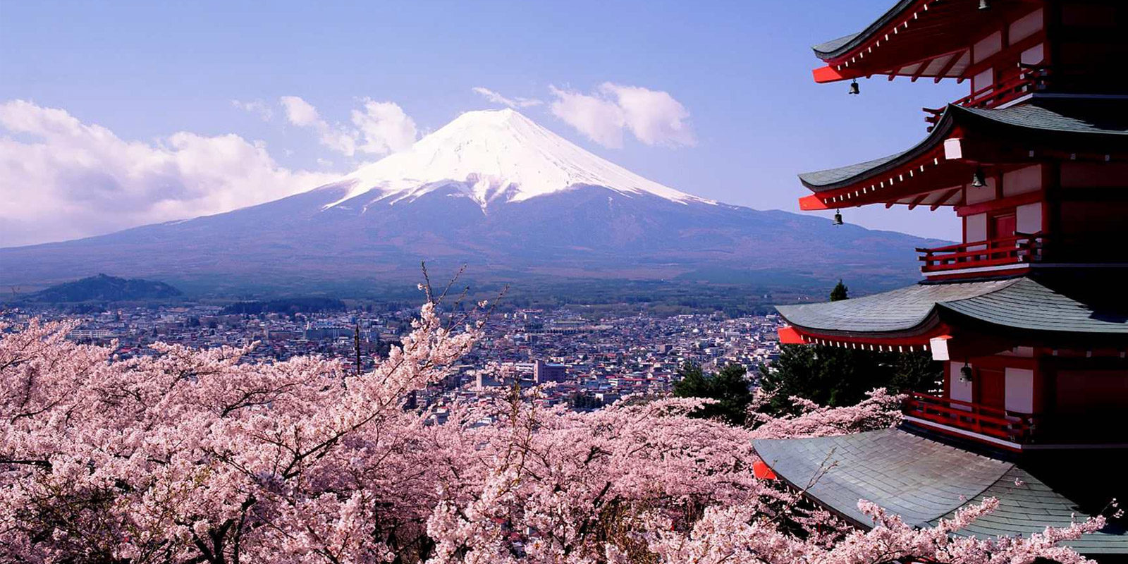 Llega a España el I Programa de Cine japonés en VO