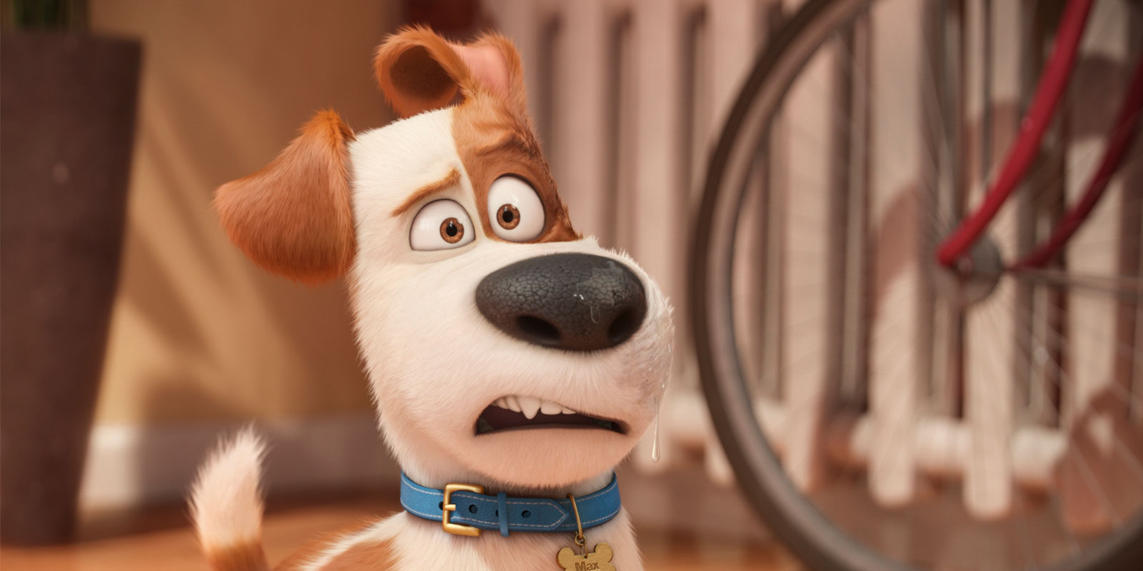 Ilumination despide a Louis C.K. y no participará en la secuela de 'Mascotas'