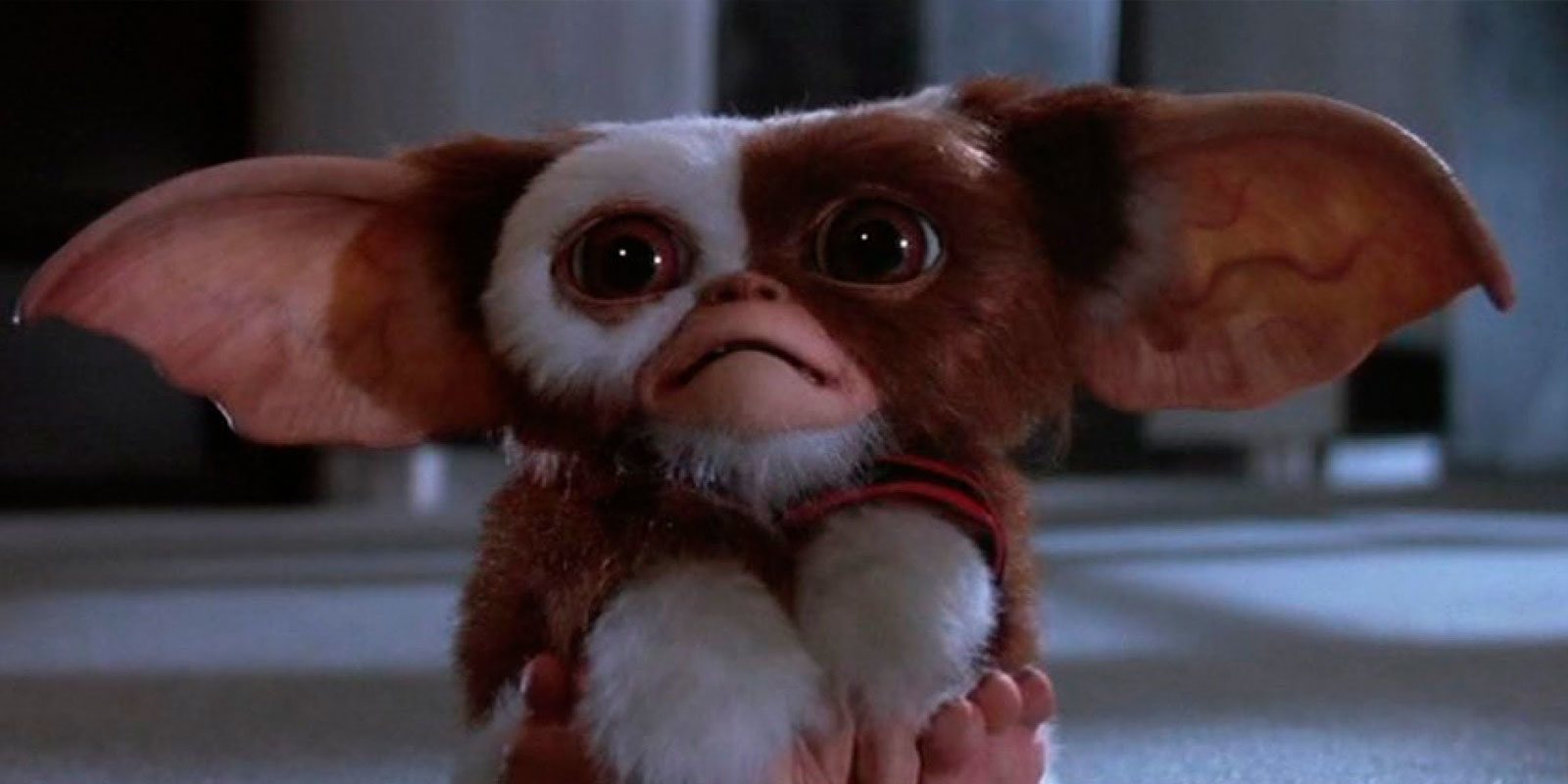 La nueva 'Gremlins' será finalmente un reboot de la franquicia