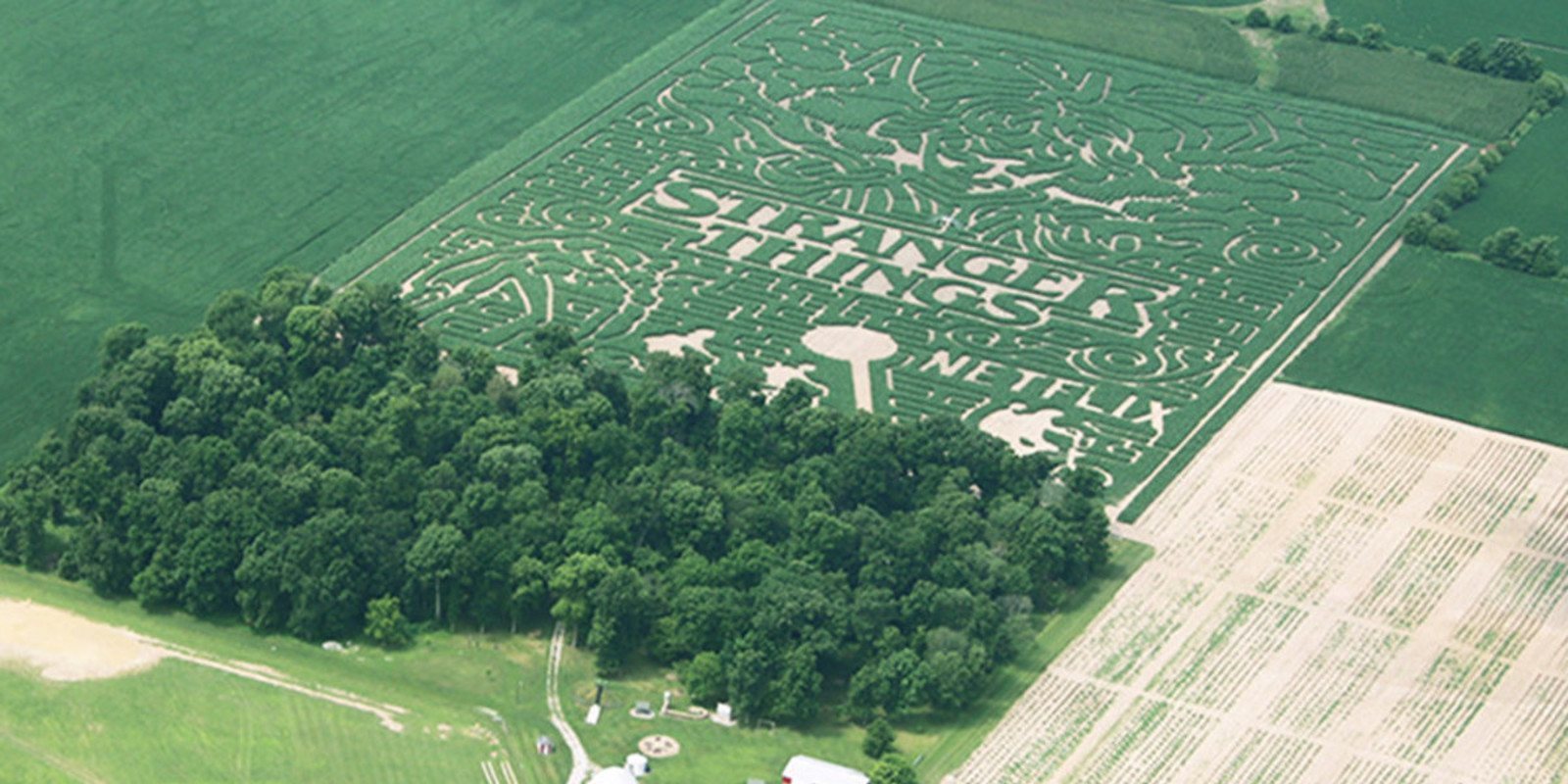 'Stranger Things': La serie ha recibido un curioso homenaje en Indiana
