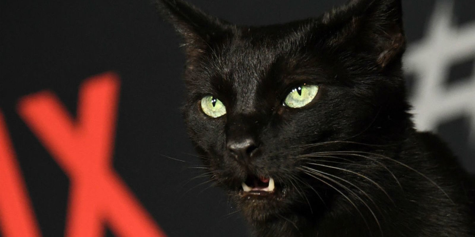 'Las escalofriantes aventuras de Sabrina': la 'premiere' ha tenido un invitado inesperado