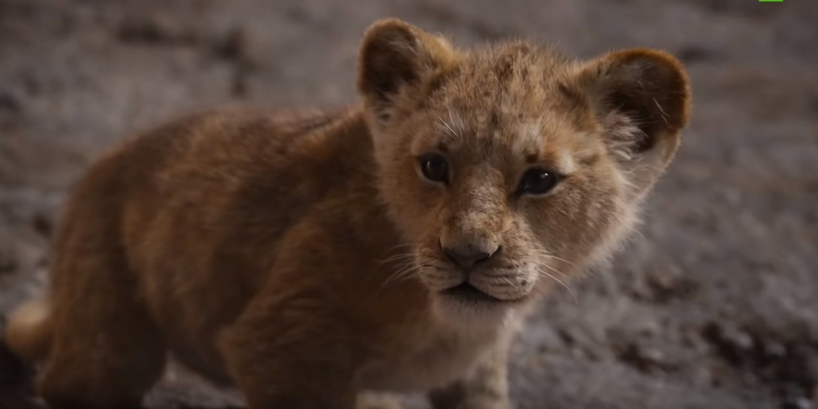 Disney presenta el primer tráiler de 'El Rey León'