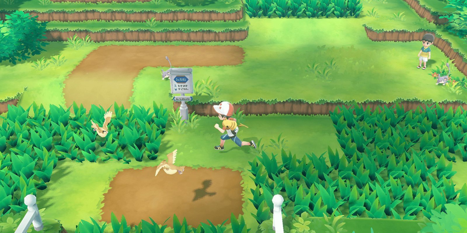 Nintendo estaría preparando el lanzamiento de 'Pokémon Pass' una nueva aplicación