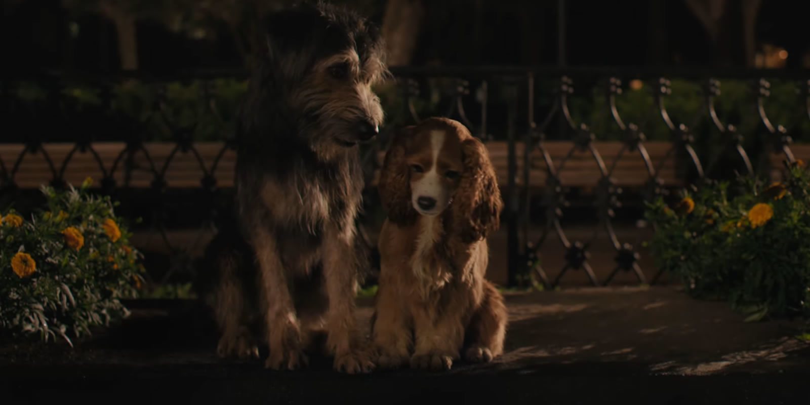 Disney muestra el enternecedor segundo tráiler de 'La Dama y el Vagabundo'