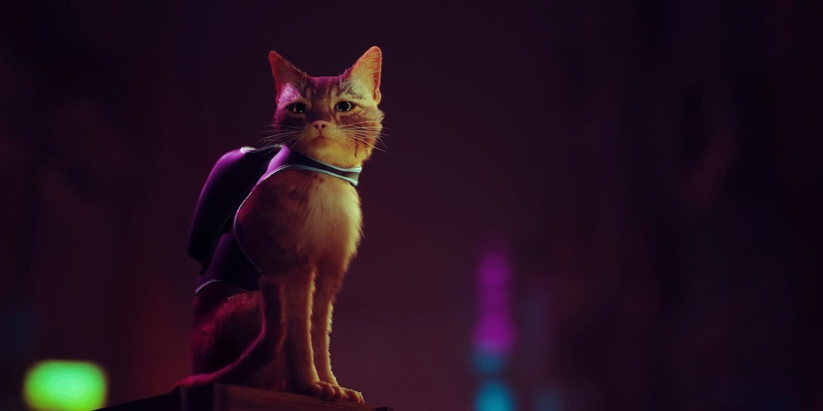 Annapurna y BlueTwelve Studio anuncian 'Stray' para PS5