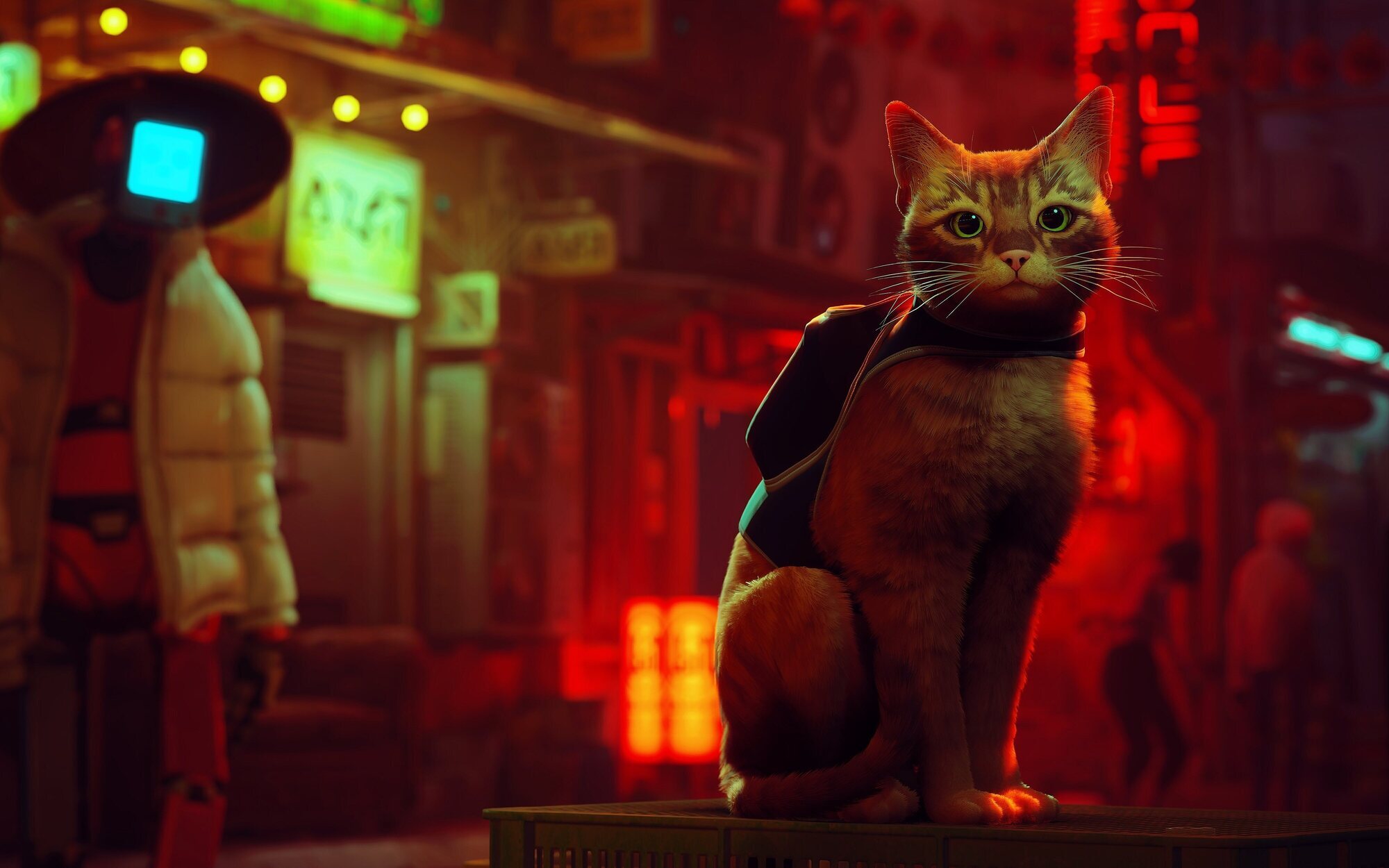 'Stray' arrebata a 'God of War' el título de juego mejor valorado del año en Steam