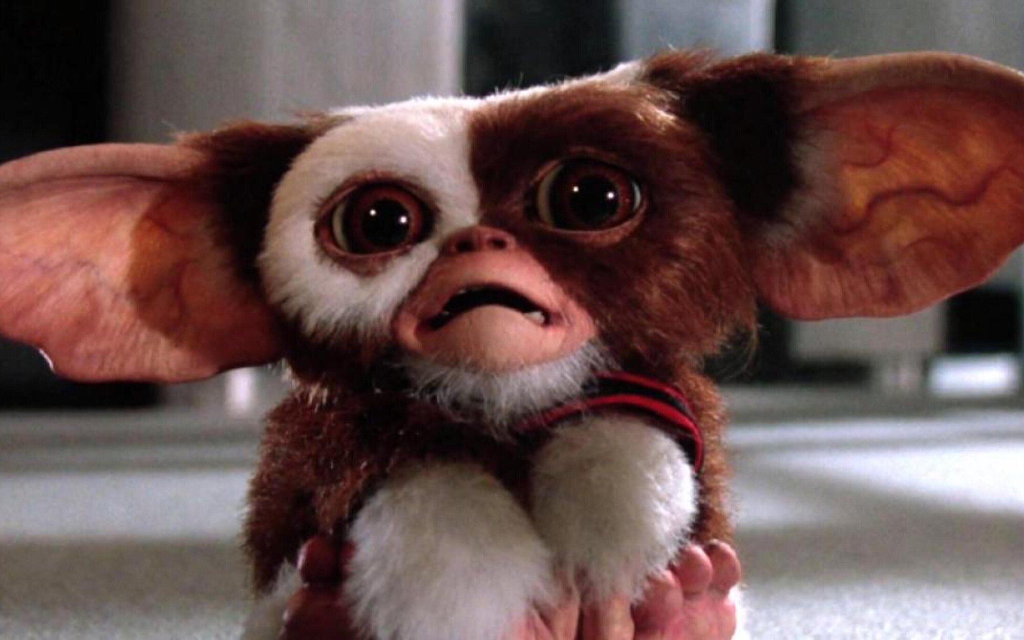 Los 'Gremlins' se cuelan en 'MultiVersus' con la llegada de Gizmo al juego