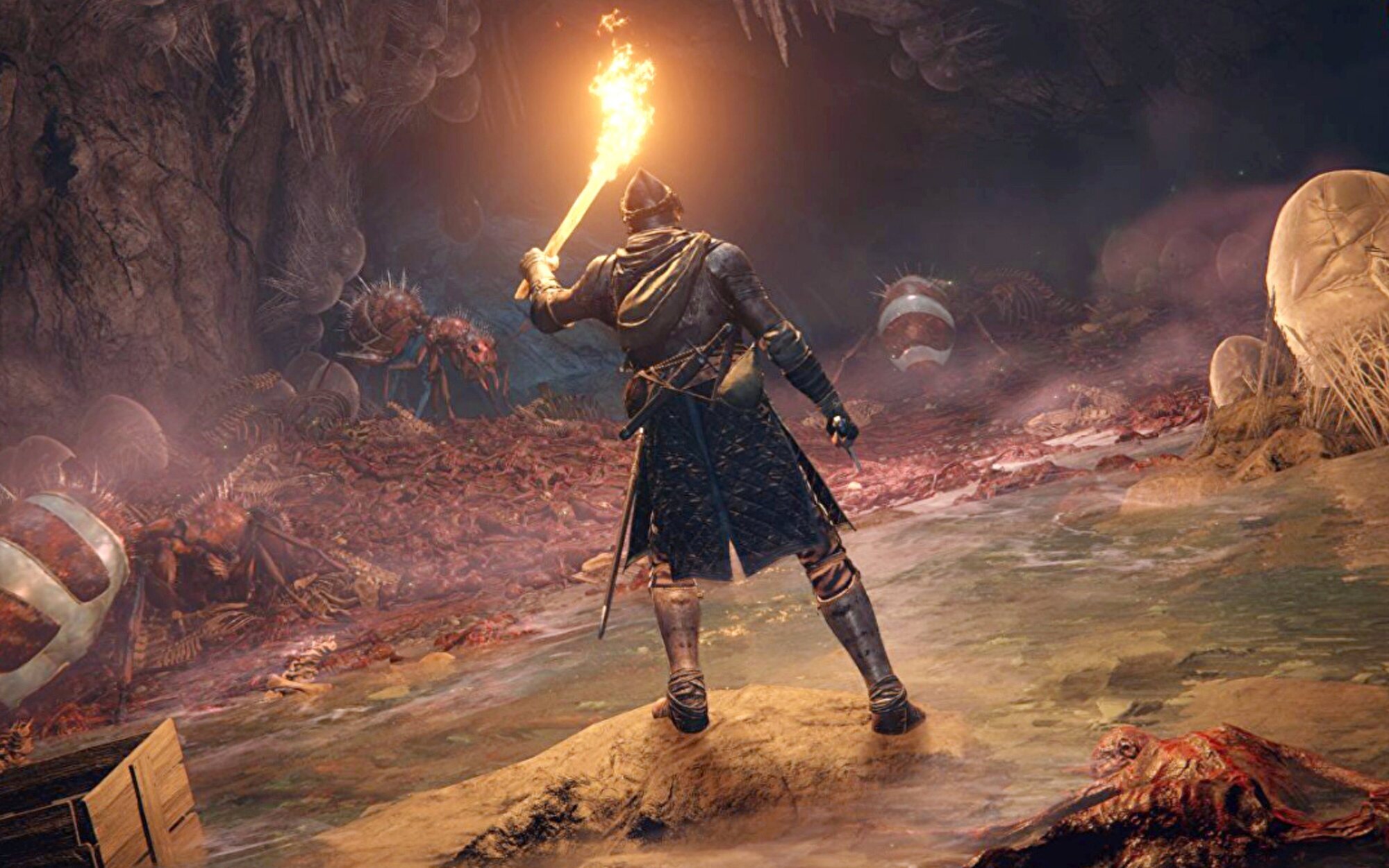 Una gran expansión para 'Elden Ring' está en camino, según un importante insider