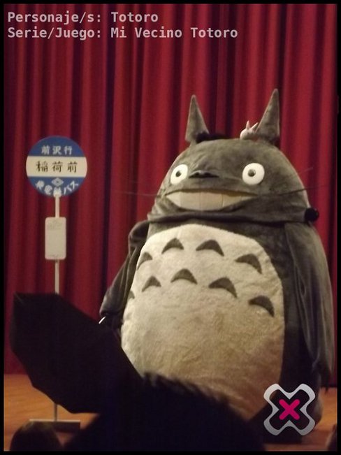 Cosplay de Mi Vecino Totoro en Expomanga 2013